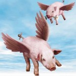 Swine-Flew